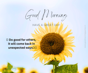 187+ 💐 Good Morning Quotes with Flowers - 🌺 Floral Quotes, Motivation Happiness, Beauty & Positivity