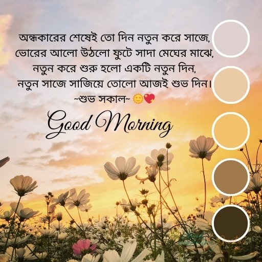 Thoughtful Morning Quotes Bengali